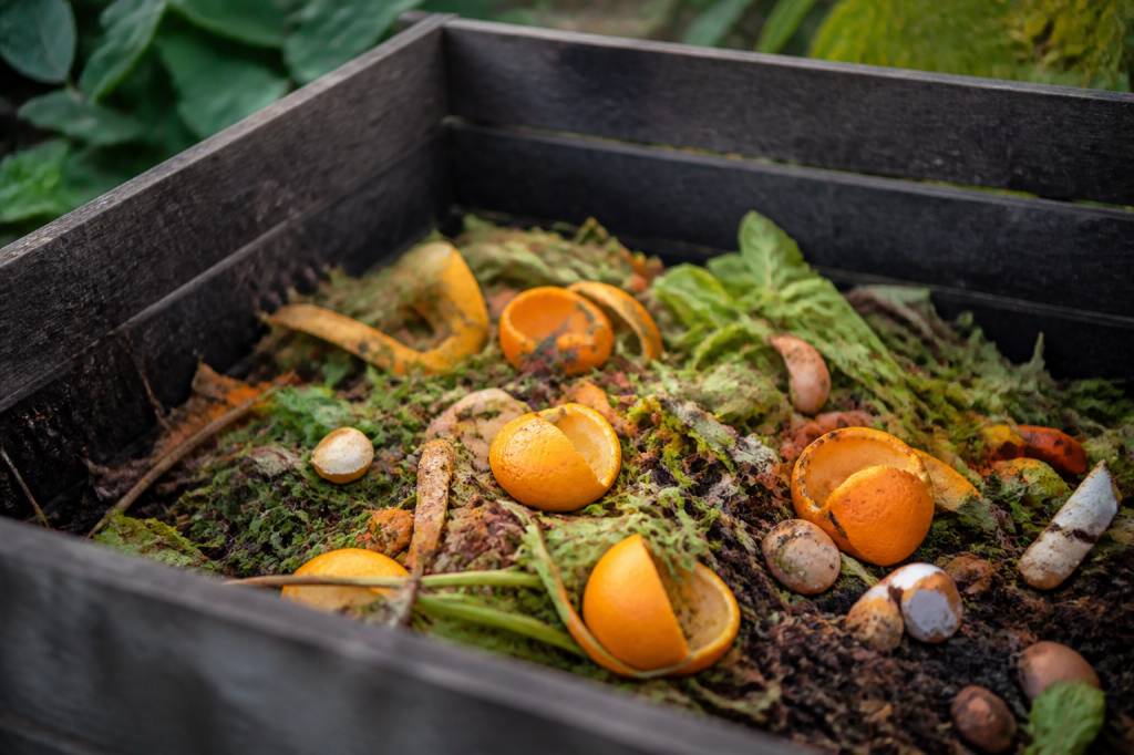 Agrumes dans le compostage : les bonnes pratiques pour un compost équilibré