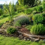 Aménager une butte de terre en pente : idées écologiques pour un jardin harmonieux