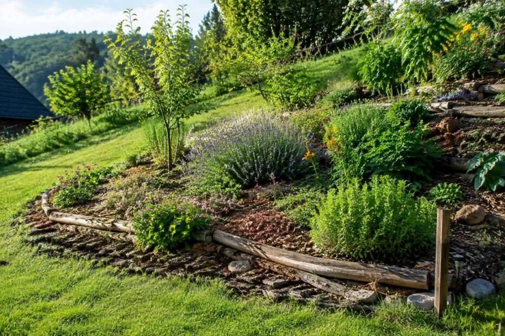Aménager une butte de terre en pente : idées écologiques pour un jardin harmonieux